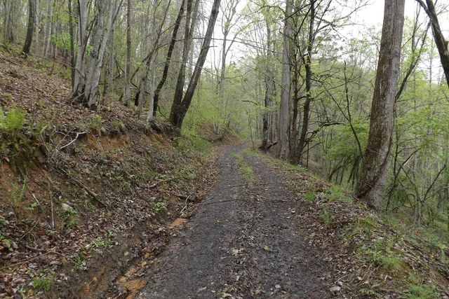 $250,000 | 0 Buffalo Hollow Road, Castlewood, VA 24224