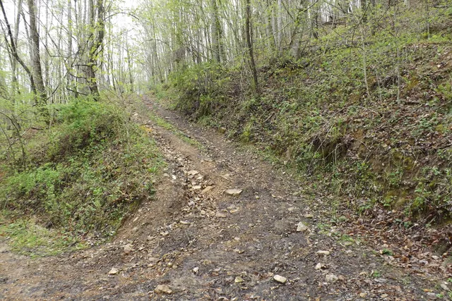 $250,000 | 0 Buffalo Hollow Road, Castlewood, VA 24224