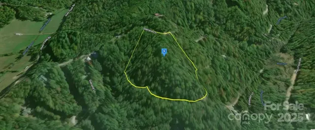 a view of a lush green field