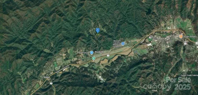 a view of a lush green forest with lots of trees