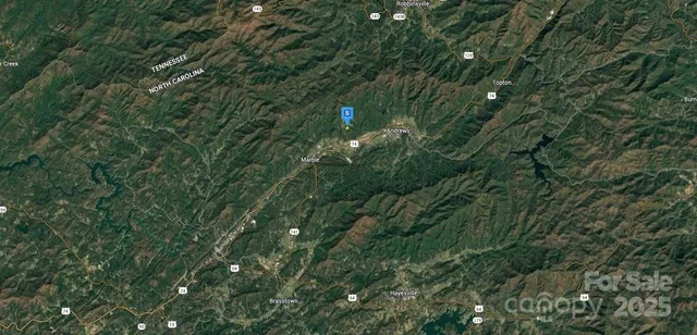 a view of a house with a tree