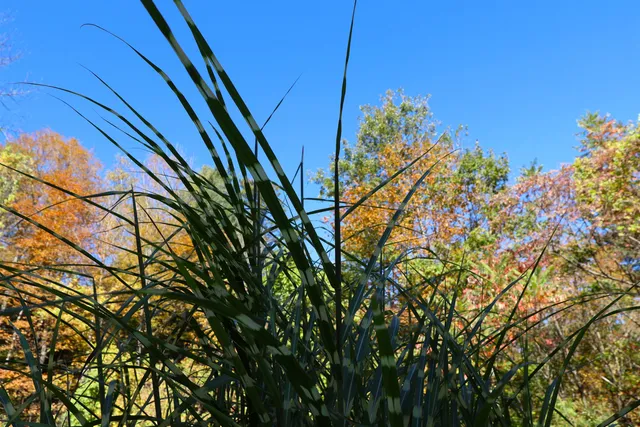 $379,900 | 1001 Woodstock Road, Hartford, VT 05001