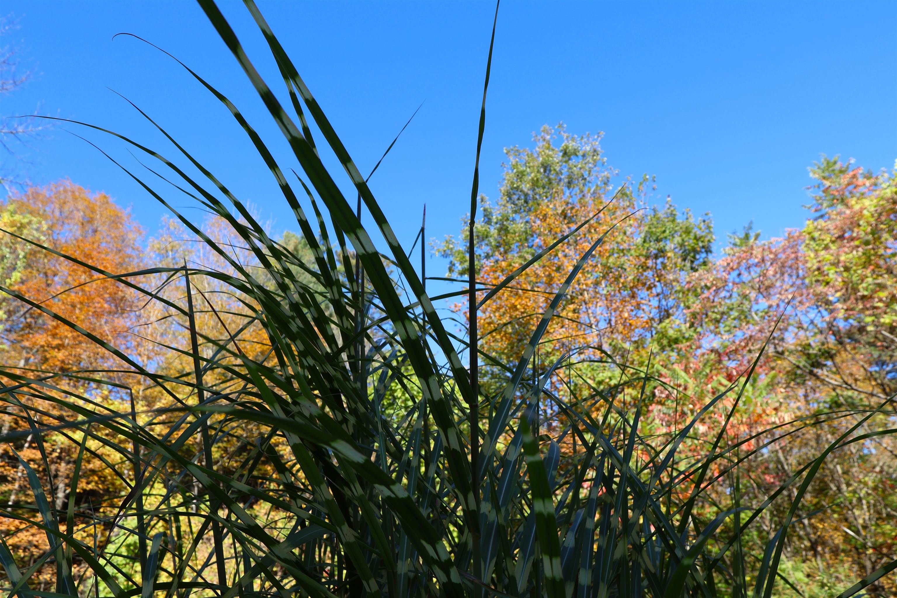 1001 Woodstock Road Hartford, VT 05001 - Photo 45 of 47