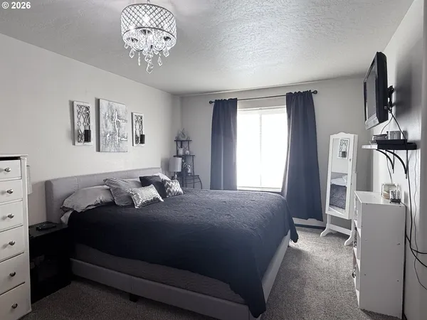 a bed room with a bed and a television