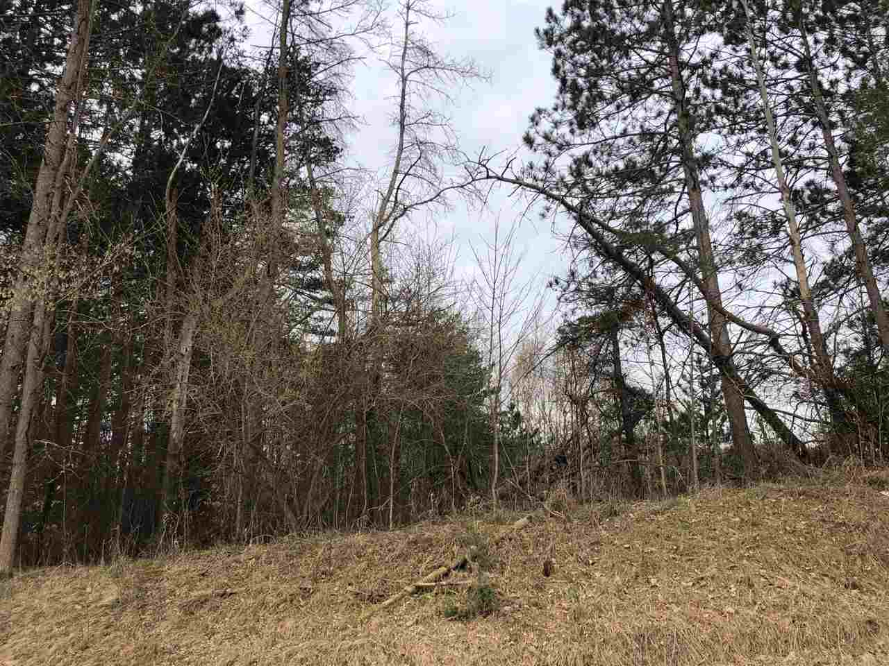 40-acres East Cranberry Lake Road Harrison, MI 48625 - Photo 3 of 21