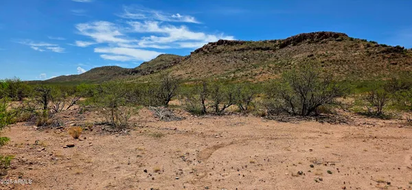 $15,000 | Tbd North Bruno Road, Douglas, AZ 85607