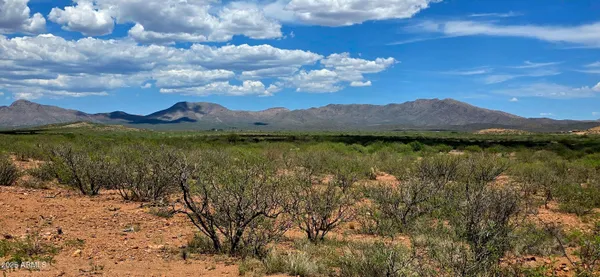 $15,000 | Tbd North Bruno Road, Douglas, AZ 85607