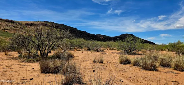 $15,000 | Tbd North Bruno Road, Douglas, AZ 85607