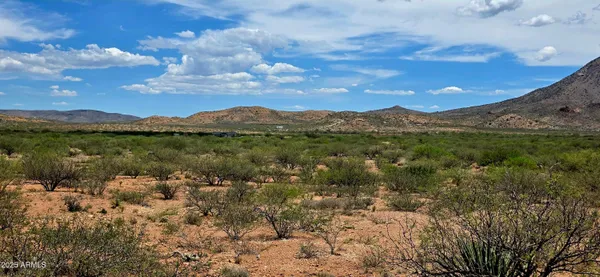$15,000 | Tbd North Bruno Road, Douglas, AZ 85607