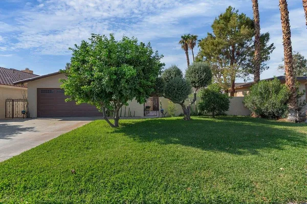 a view of a backyard with large trees