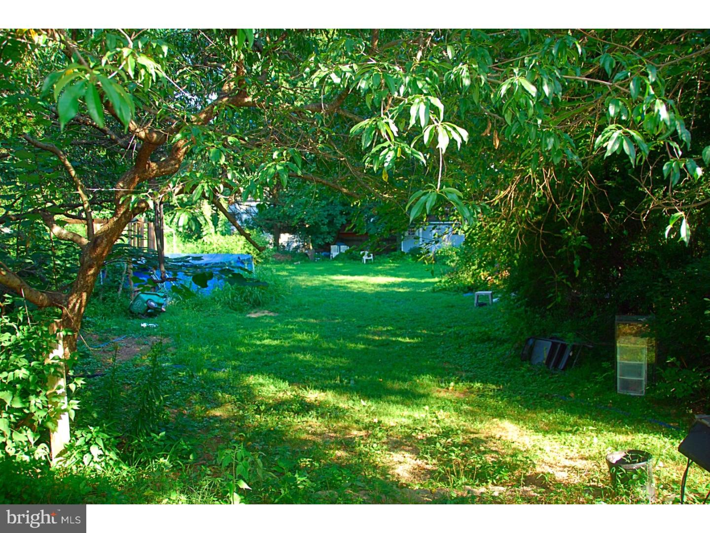 339 Orchard Road Springfield, PA 19064 - Photo 14 of 14