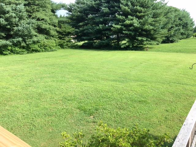 208 Independence Street Springfield, TN 37172 - Photo 20 of 22 a view of yard with green space