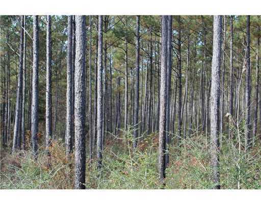 18 47ac Cedar Ridge Lucedale, MS 39452 - Photo 1 of 16 Primary Photo