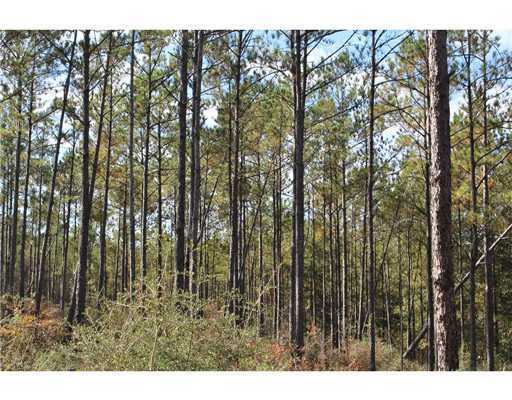 18 47ac Cedar Ridge Lucedale, MS 39452 - Photo 11 of 16 Additional Photo