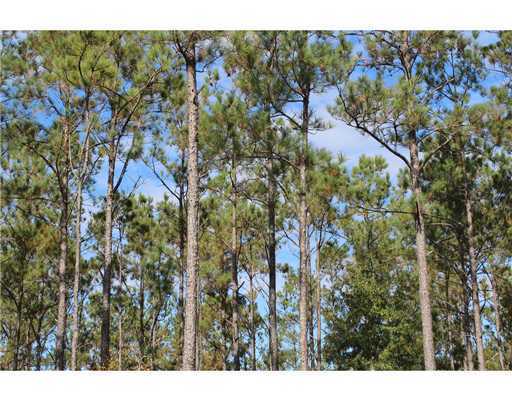 18 47ac Cedar Ridge Lucedale, MS 39452 - Photo 12 of 16 Additional Photo