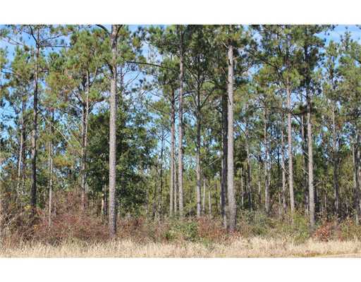 18 47ac Cedar Ridge Lucedale, MS 39452 - Photo 14 of 16 Additional Photo
