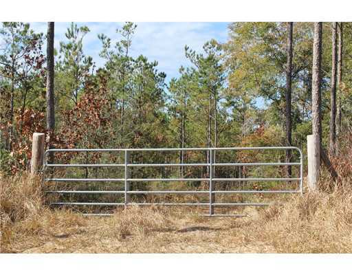 18 47ac Cedar Ridge Lucedale, MS 39452 - Photo 15 of 16 Additional Photo