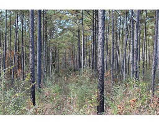18 47ac Cedar Ridge Lucedale, MS 39452 - Photo 3 of 16 Additional Photo