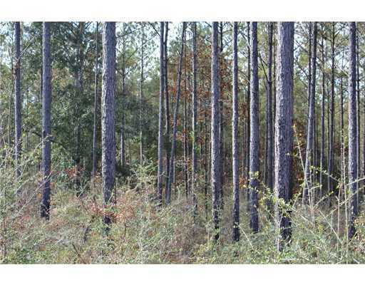 18 47ac Cedar Ridge Lucedale, MS 39452 - Photo 4 of 16 Additional Photo