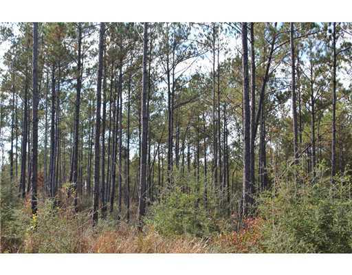 18 47ac Cedar Ridge Lucedale, MS 39452 - Photo 8 of 16 Additional Photo