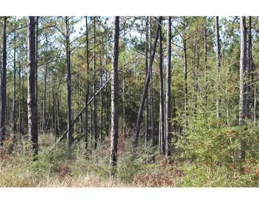 18 47ac Cedar Ridge Lucedale, MS 39452 - Photo 9 of 16 Additional Photo