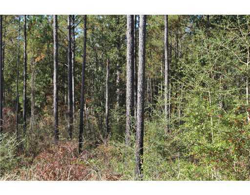 18 47ac Cedar Ridge Lucedale, MS 39452 - Photo 10 of 16 Additional Photo