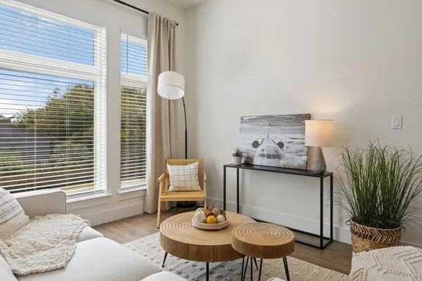 a living room with furniture and a potted plant