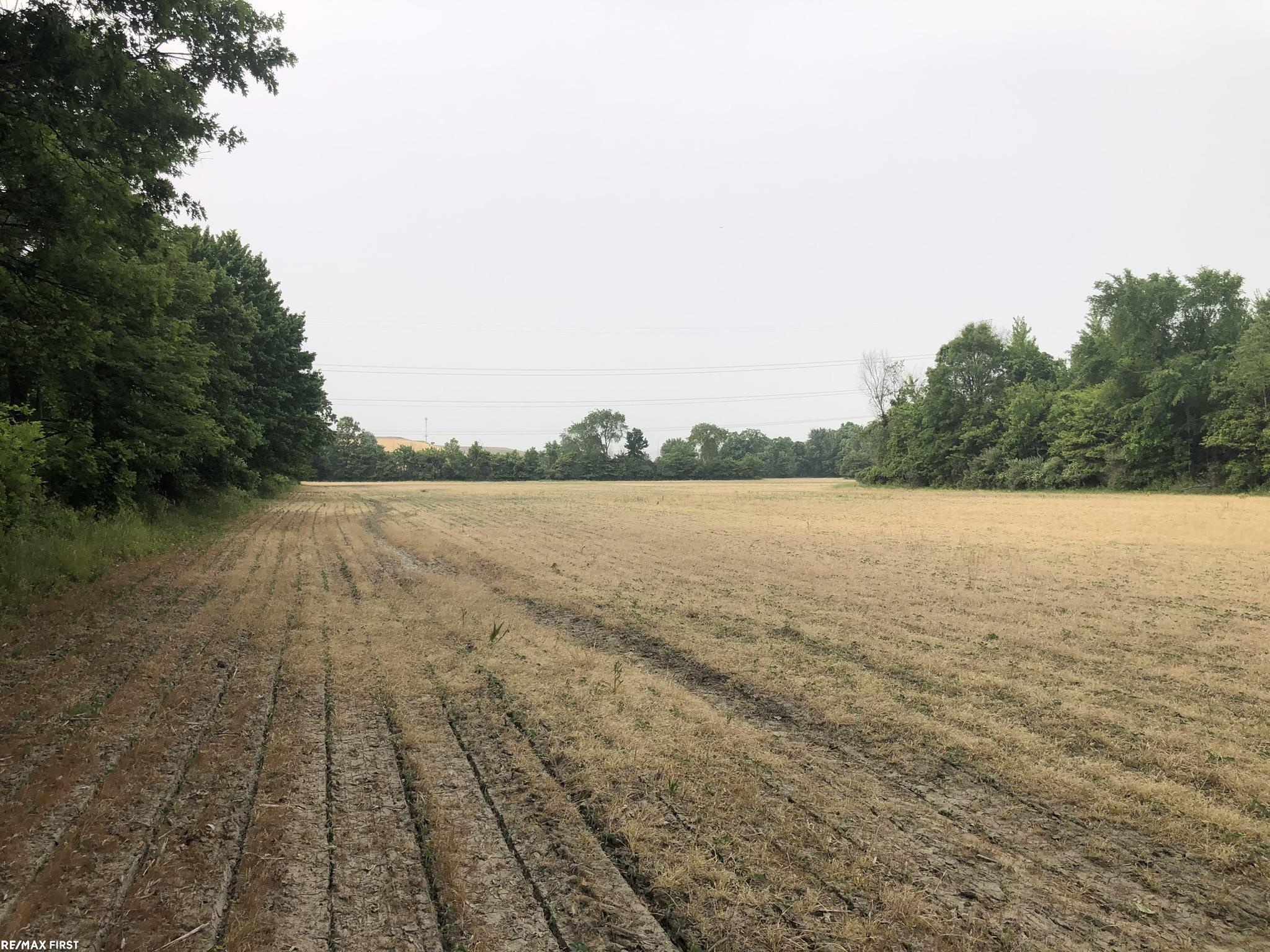 0 29 29 Mile Road New Haven, MI 48050 - Photo 21 of 38
