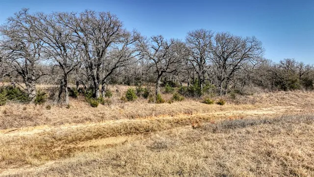 a view of a dry yard with wooden fence