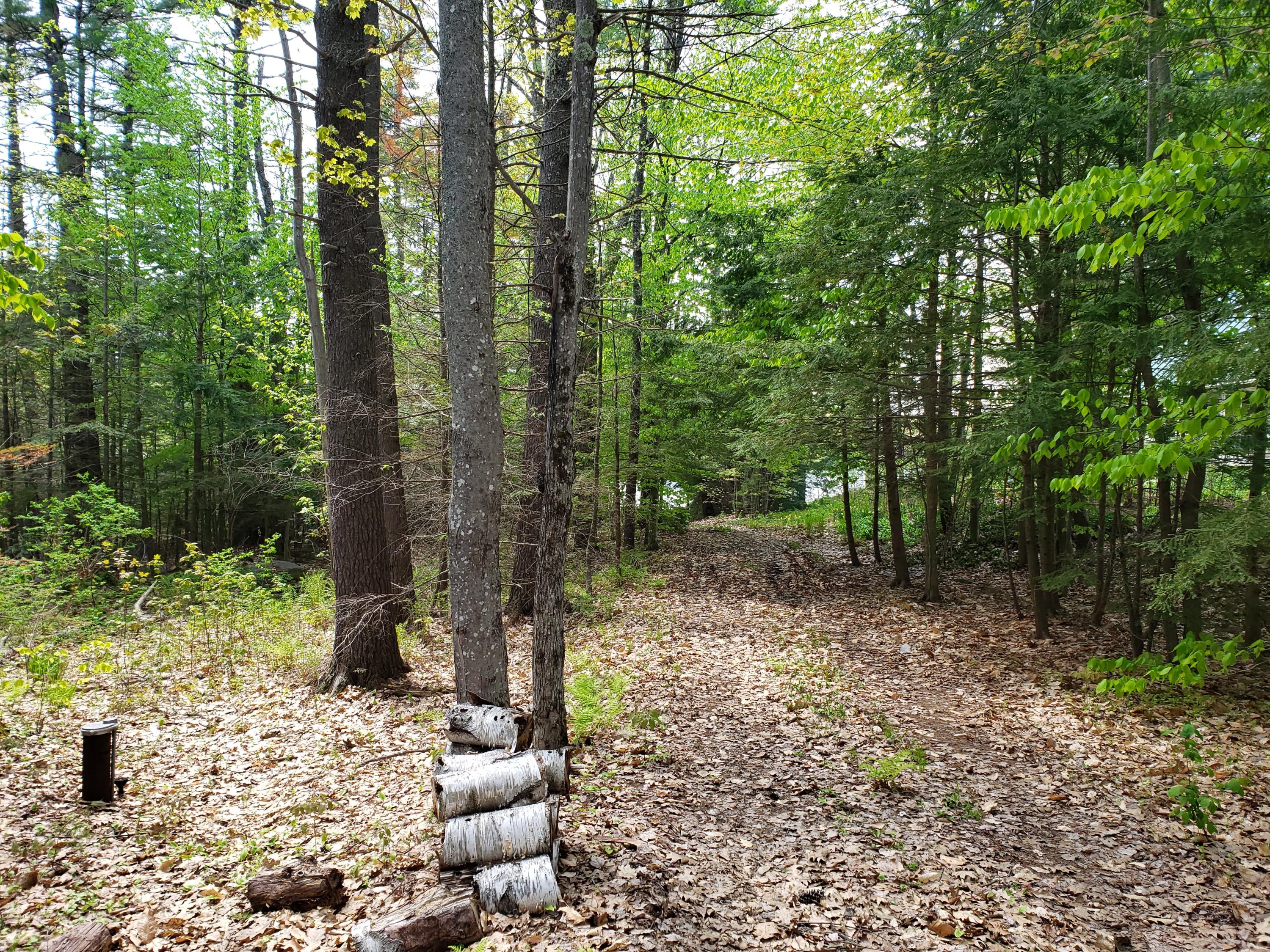 286 Rayville Road Otisfield, ME 04270 - Photo 32 of 32 20190525_135231