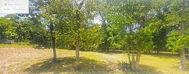 1025 Hope Road Conroe, TX 77384 - Photo 4 of 4 a view of a yard with an trees and plants