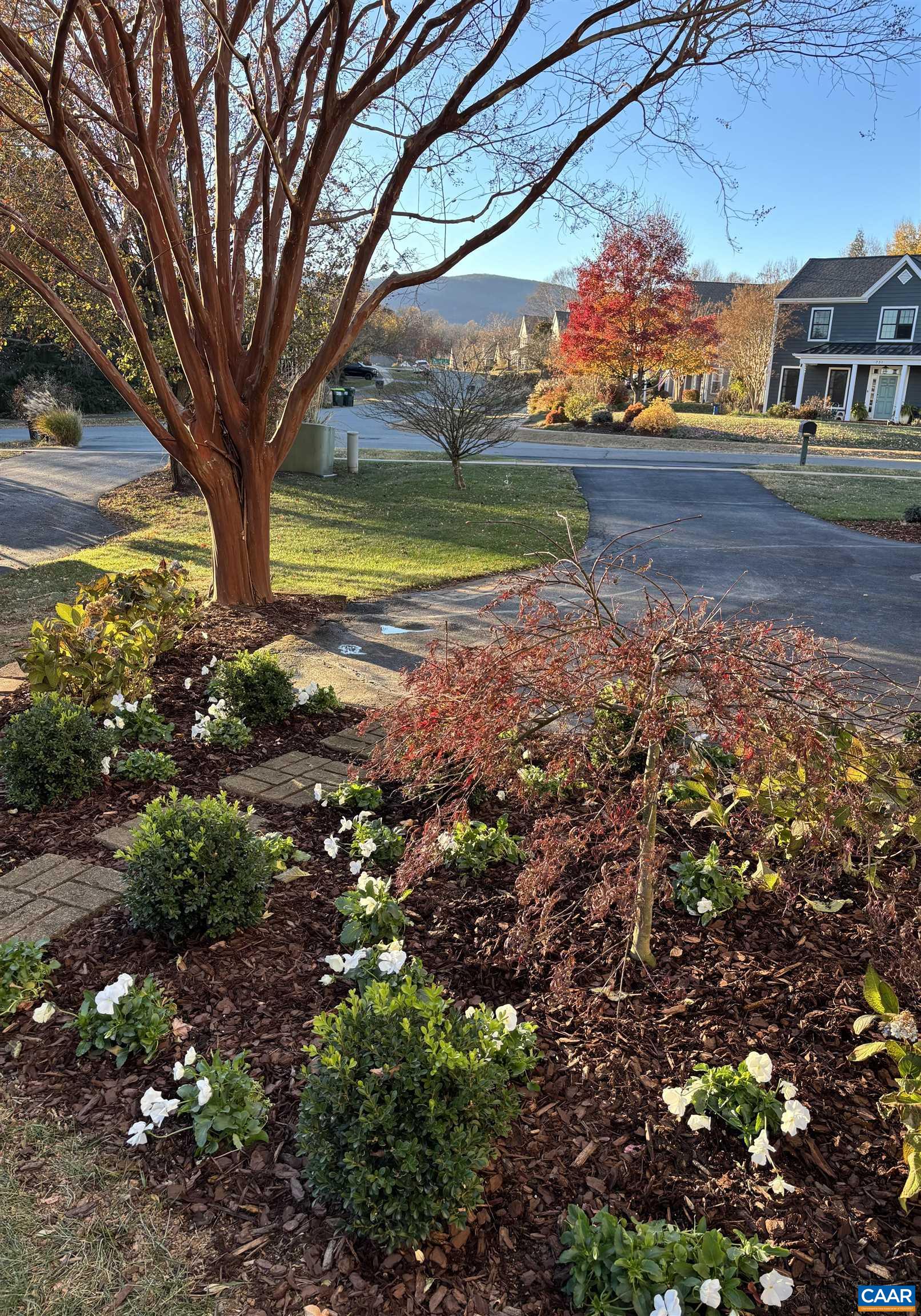 732 Russet Road Crozet, VA 22932 - Photo 37 of 48 a view of a yard with a tree