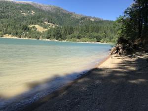 98 Ruth Lake, Unit NONE Mad River, CA 95552 - Photo 1 of 22