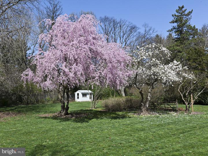 55 Armour Road Princeton, NJ 08540 - Photo 19 of 20 Back Yard