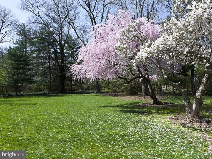 55 Armour Road Princeton, NJ 08540 - Photo 20 of 20 Back Yard