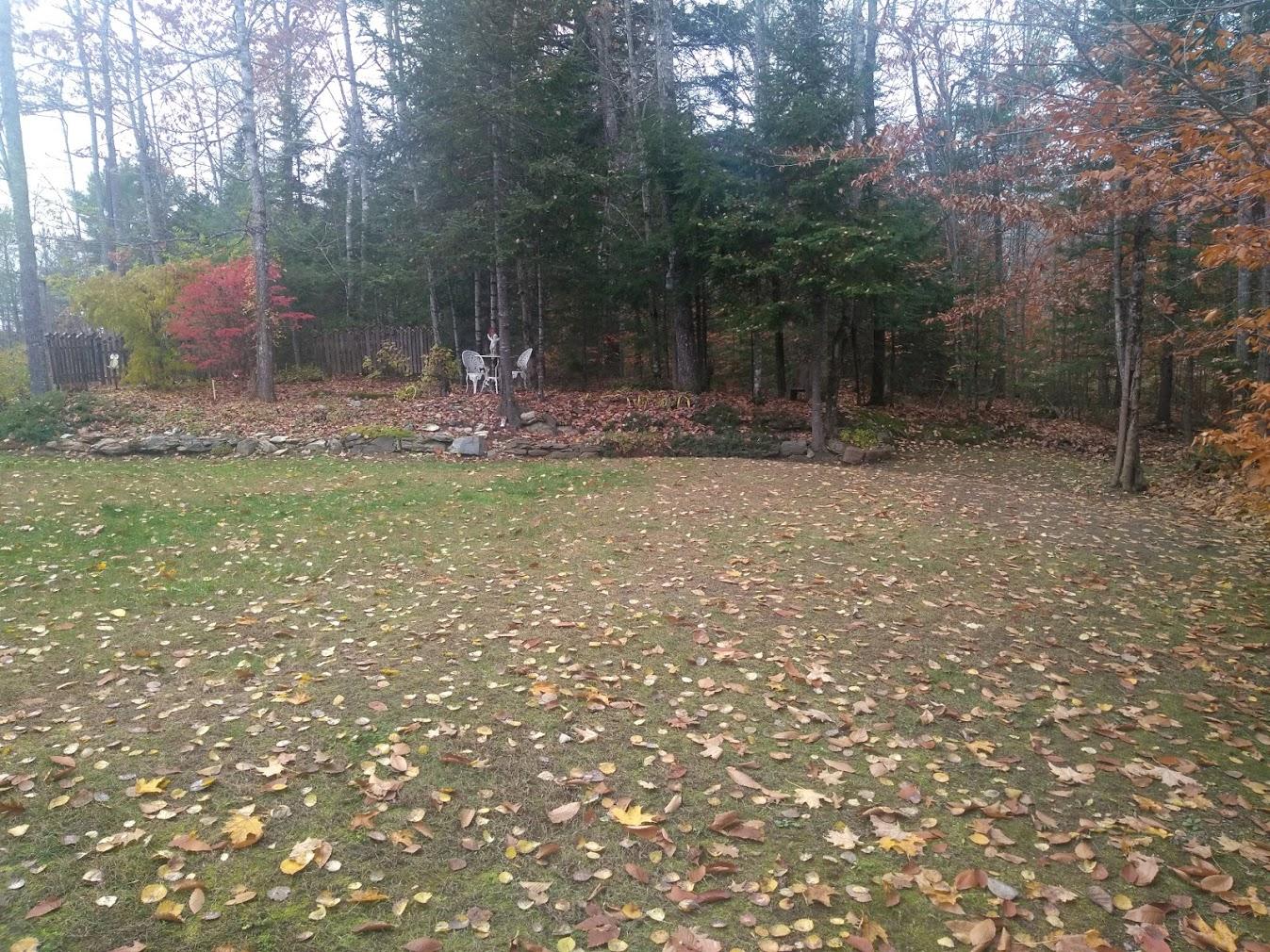 190 Cook Road Carmel, ME 04419 - Photo 13 of 46 190 Cook Rd 14