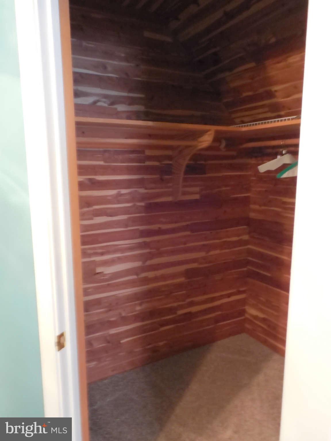 24376 Robins Creek Road Preston, MD 21655 - Photo 16 of 23 Cedar Closet
