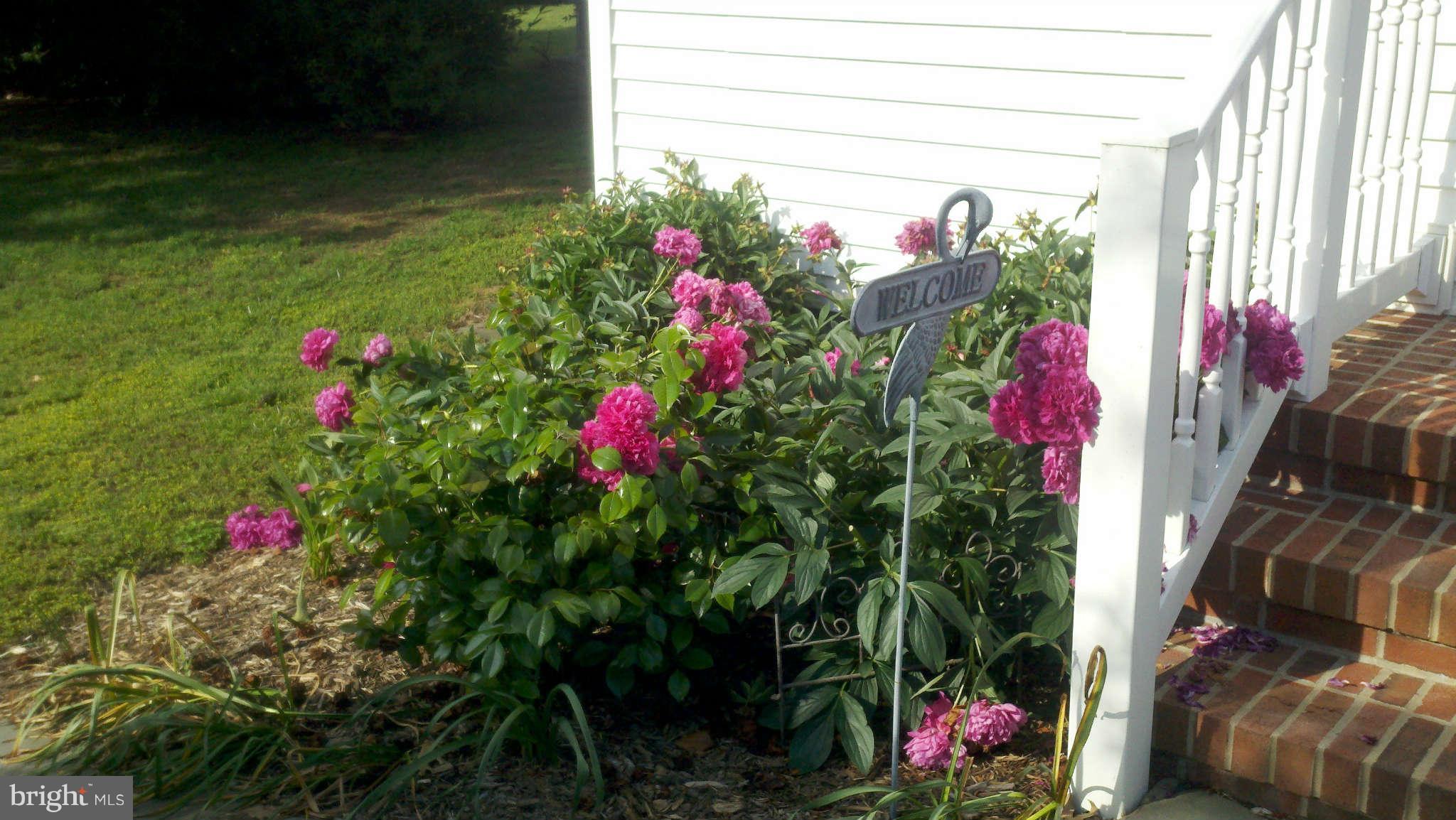 24376 Robins Creek Road Preston, MD 21655 - Photo 19 of 23 Flower Gardens