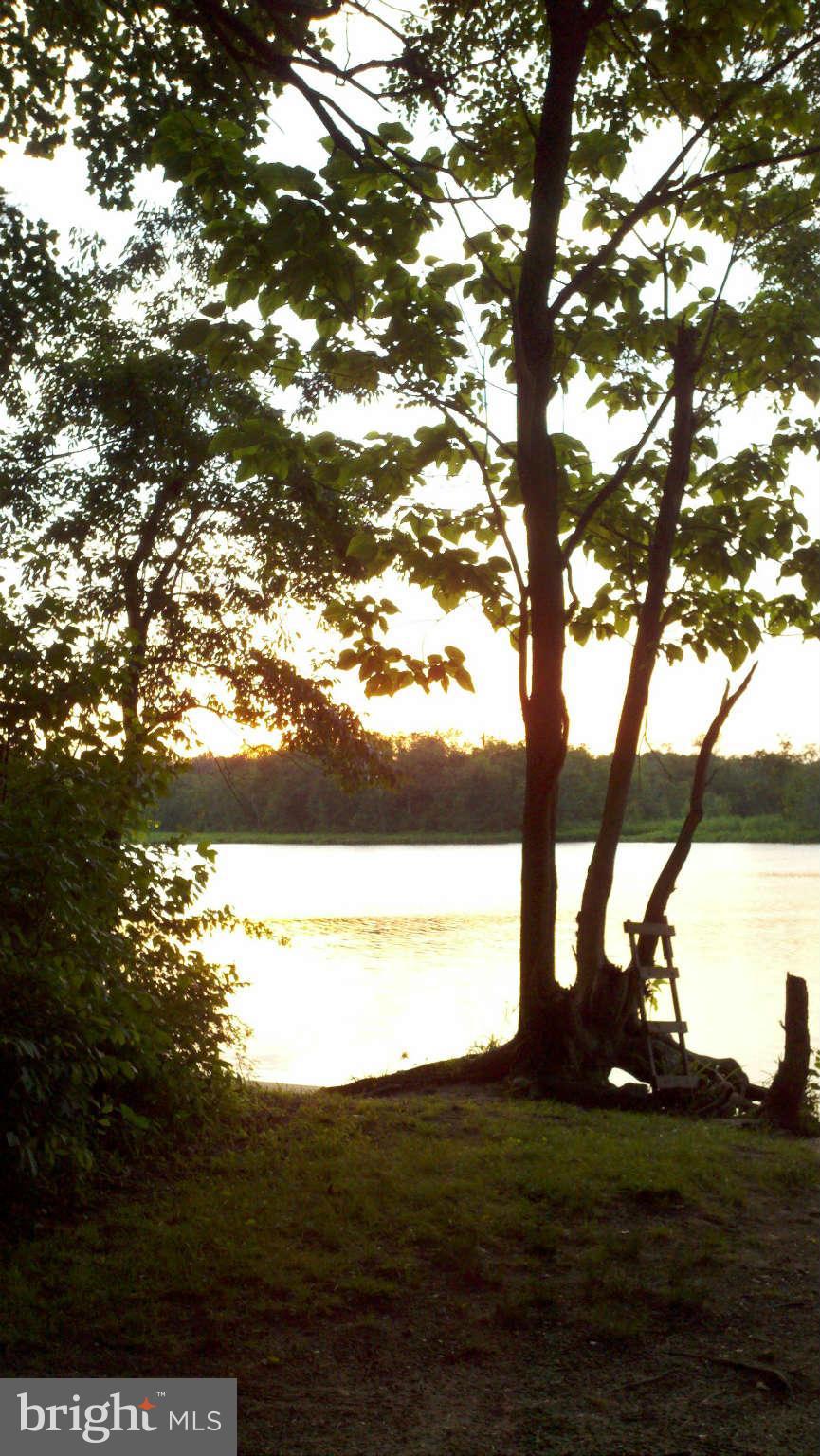 24376 Robins Creek Road Preston, MD 21655 - Photo 23 of 23 Sunset at Boat Landing
