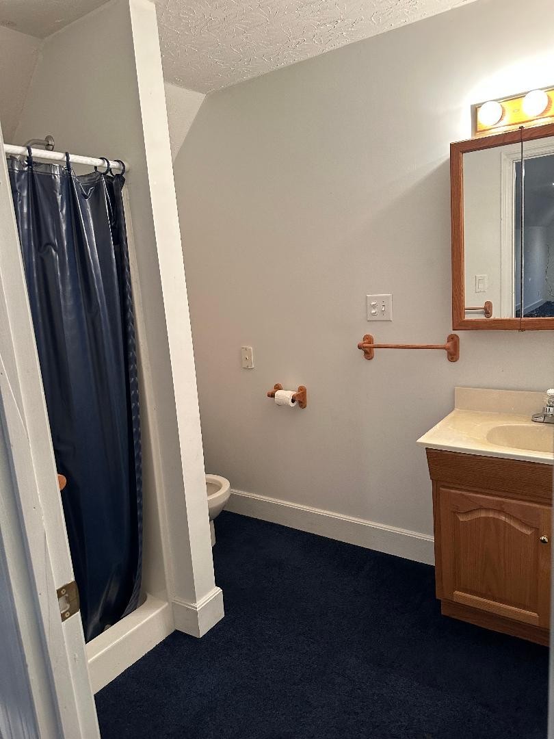 618 Main Street North Carthage, TN 37030 - Photo 60 of 65 a bathroom with a sink and a mirror