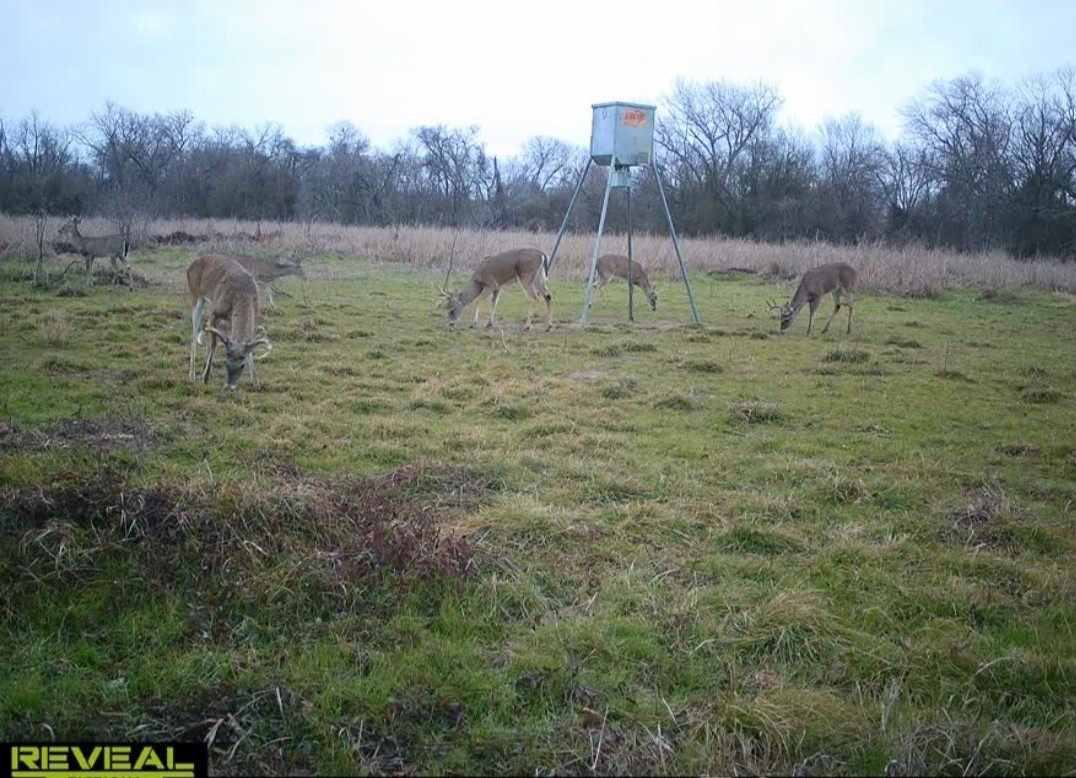 413 St Marlin Tx 76661 Reagan, TX 76680 - Photo 16 of 19 a view of a lush green field