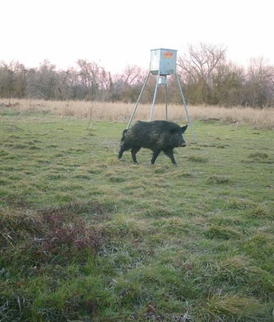 413 St Marlin Tx 76661 Reagan, TX 76680 - Photo 17 of 19 a ground with lots of green space