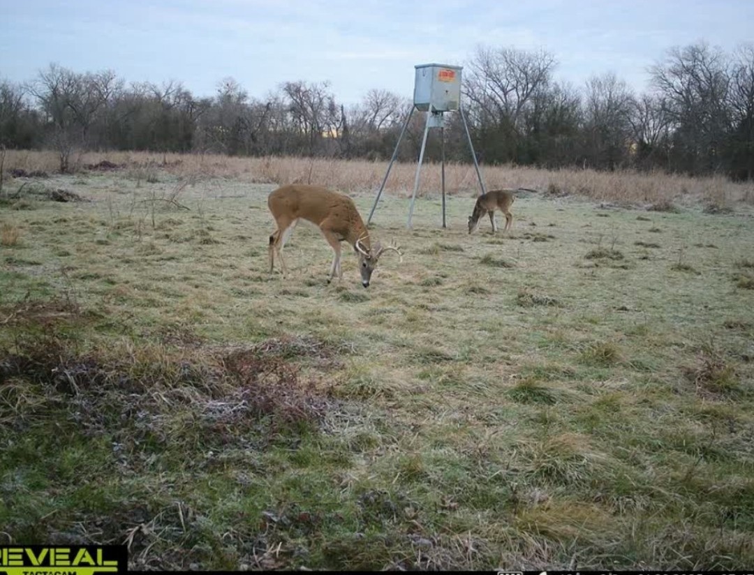 413 St Marlin Tx 76661 Reagan, TX 76680 - Photo 18 of 19 a view of a outdoor space with green field and trees