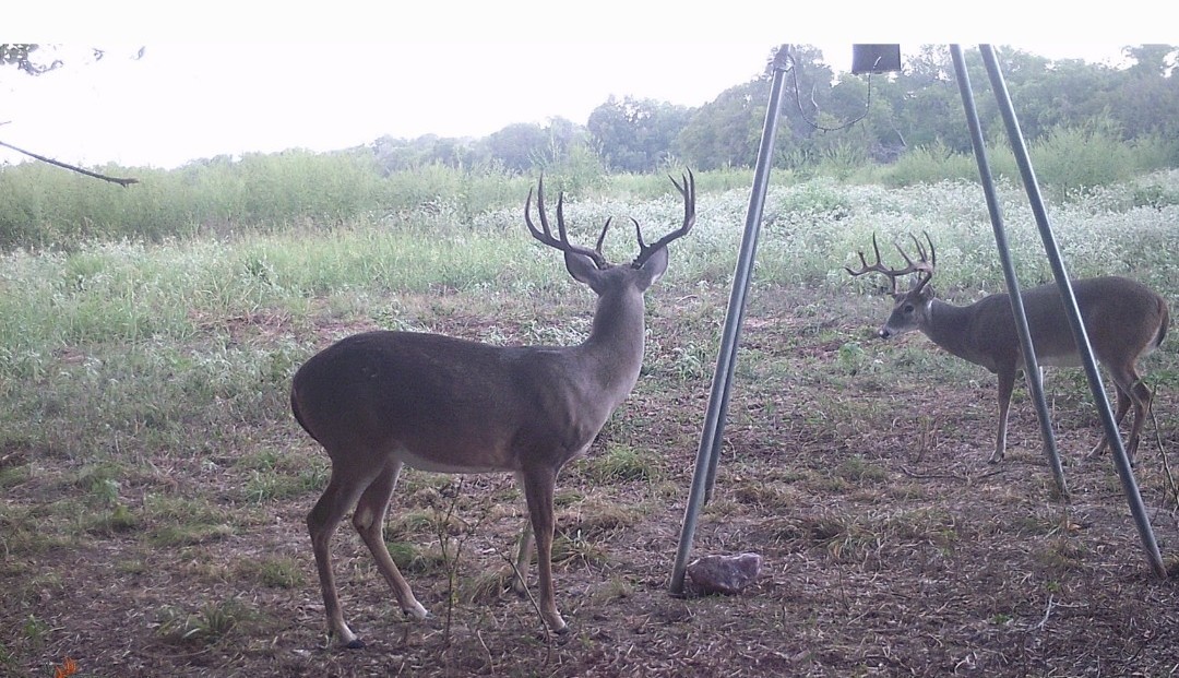 413 St Marlin Tx 76661 Reagan, TX 76680 - Photo 19 of 19 a view of a bench in the forest