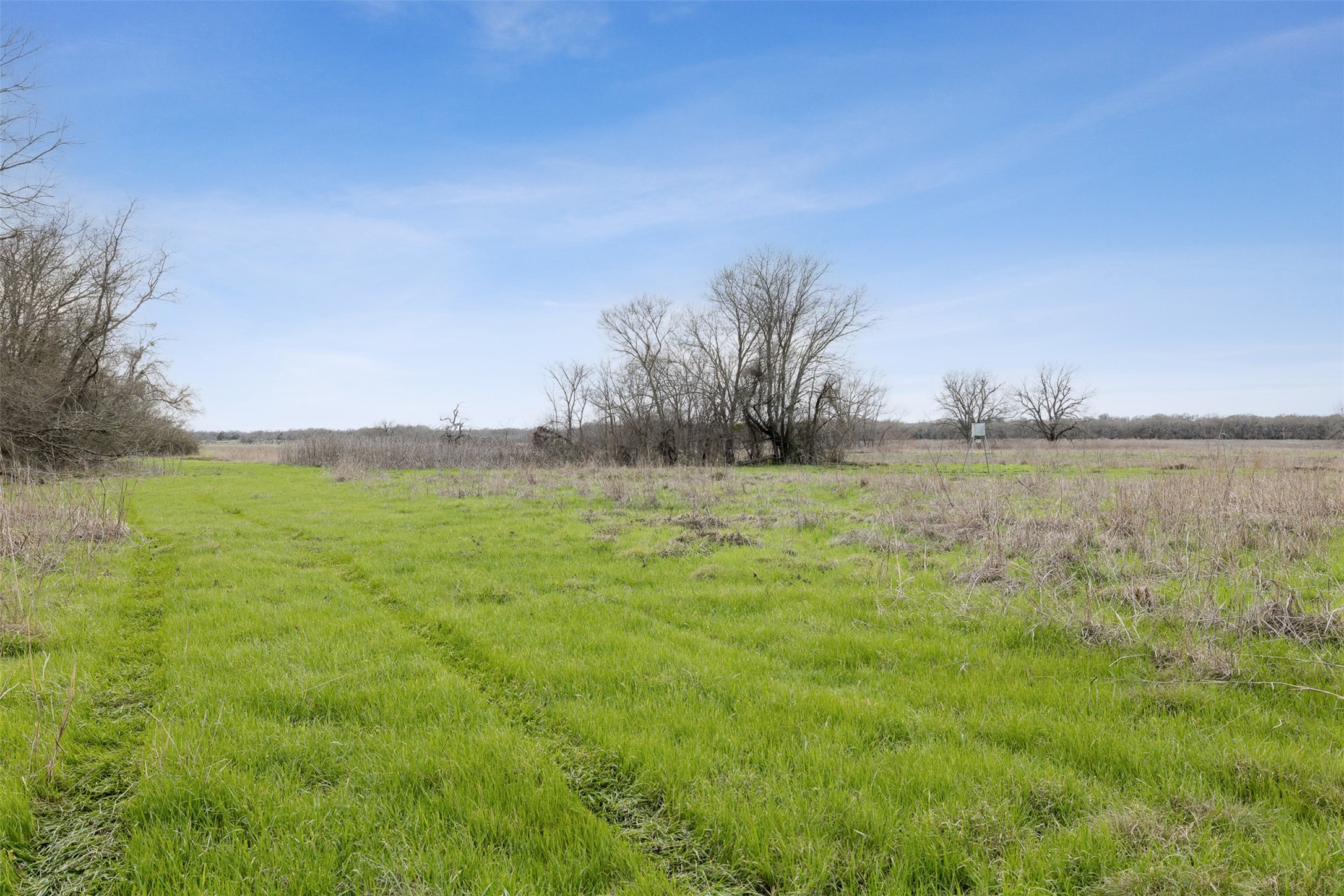 413 St Marlin Tx 76661 Reagan, TX 76680 - Photo 3 of 19