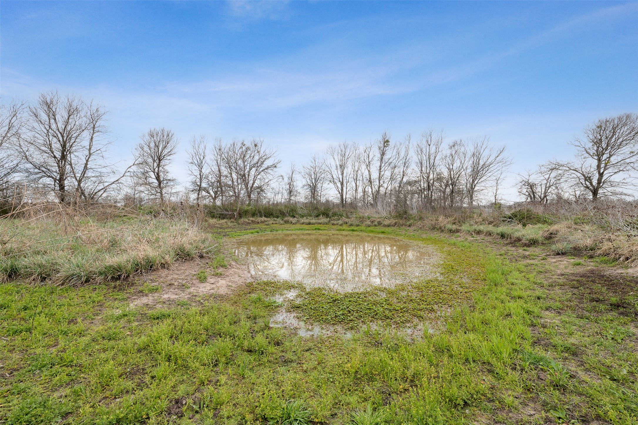 413 St Marlin Tx 76661 Reagan, TX 76680 - Photo 5 of 19 a view of a lake with houses in the background