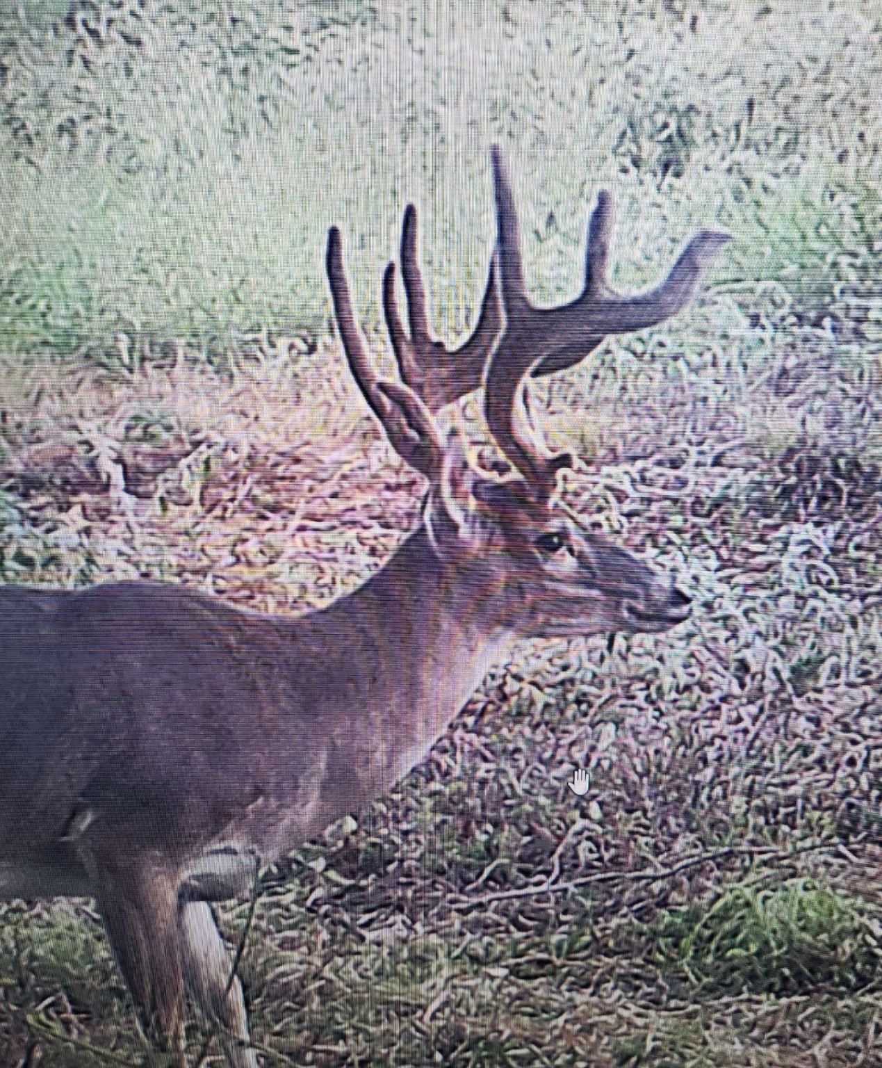 413 St Marlin Tx 76661 Reagan, TX 76680 - Photo 8 of 19