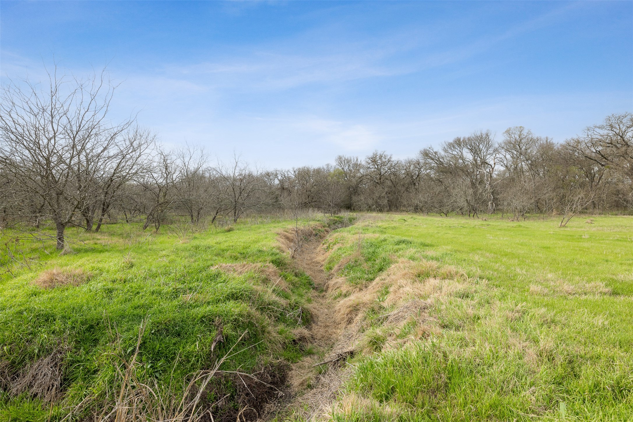 413 St Marlin Tx 76661 Reagan, TX 76680 - Photo 10 of 19 a view of outdoor space with trees all around