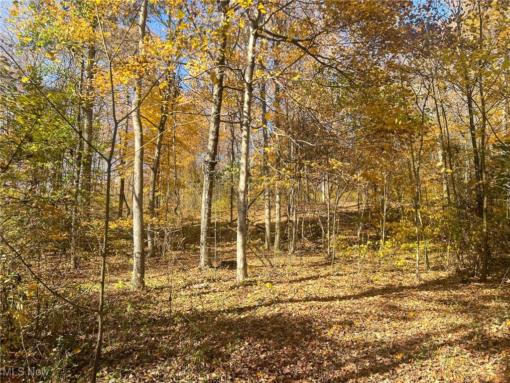 0 Roberts Road Amesville, OH 45711 - Photo 9 of 39 View of landscape