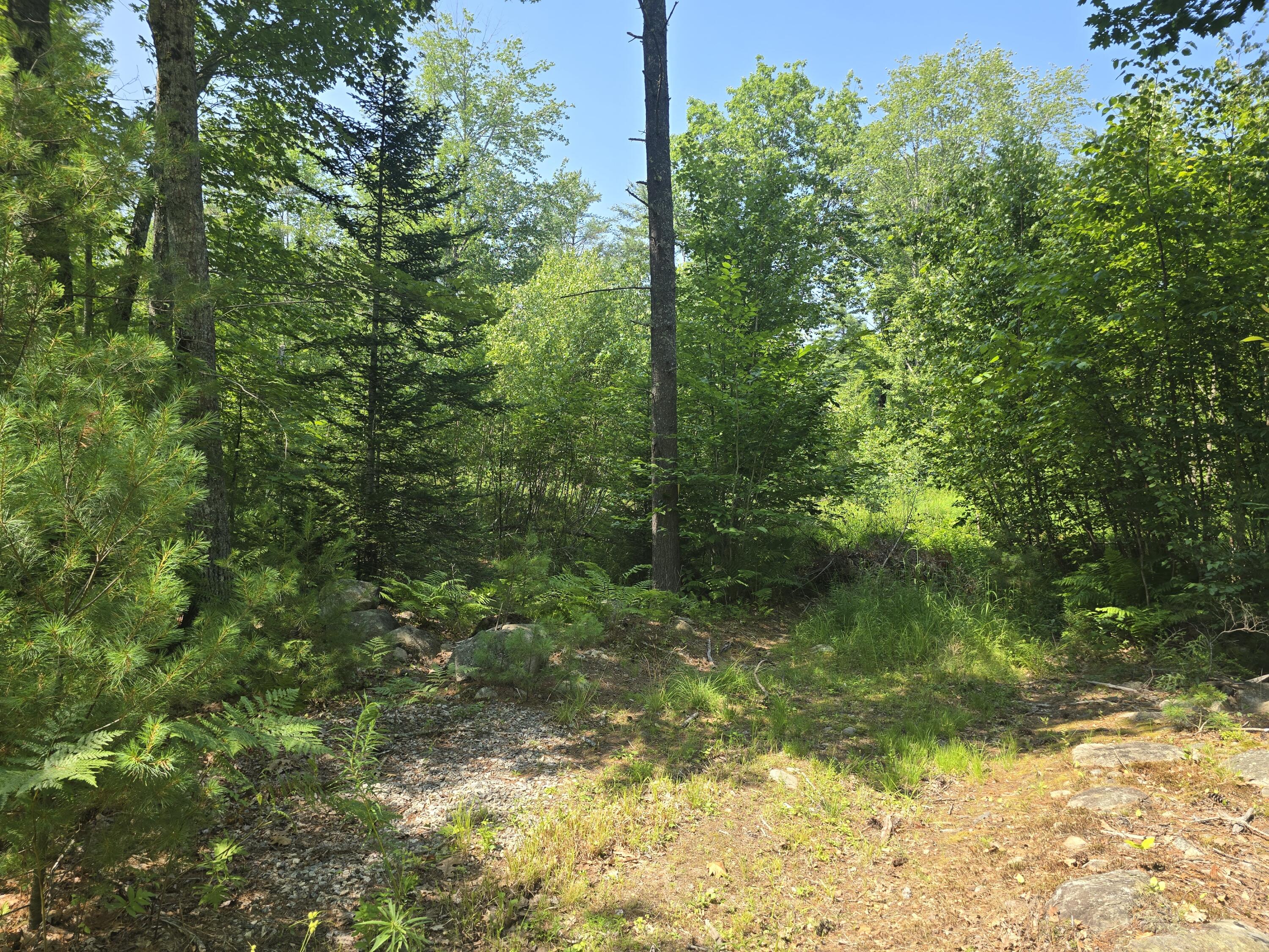 0 Head Tide Hill Road Alna, ME 04535 - Photo 9 of 12 20250716_144207
